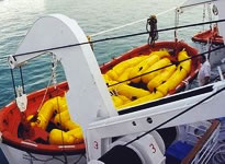 lifeboat test bags