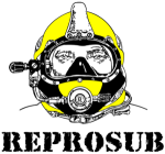 Logo-REPROSUB